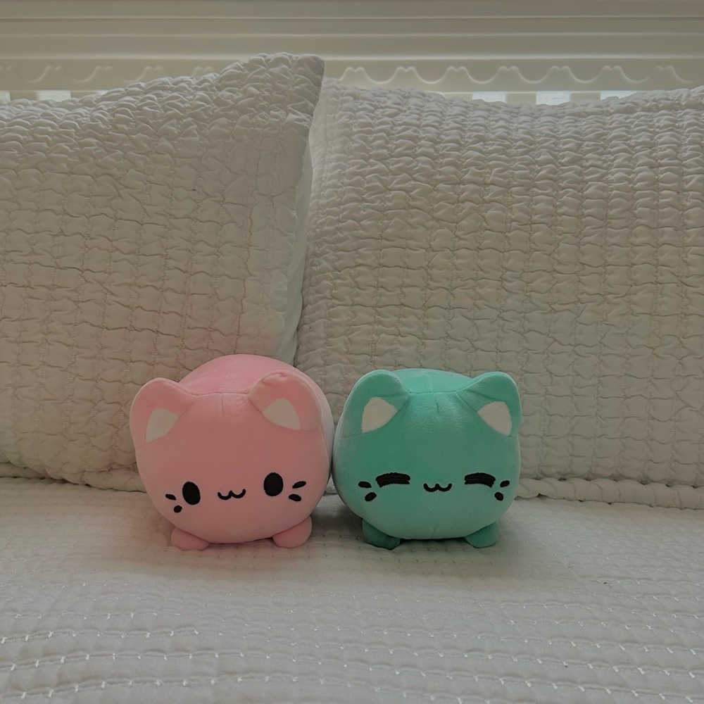 Cute Pink and Mint Cat Plushies